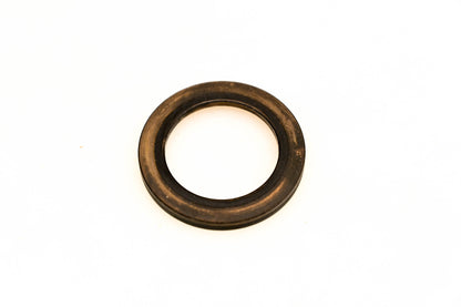 OMC 304697 Thrust Washer