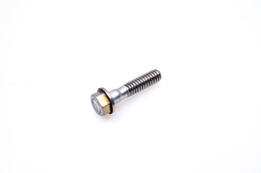 OMC 324334 Screw NOS