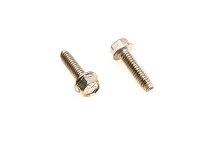 OMC 309023 Screws Qty 2 NOS