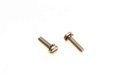 OMC 309426 Screws Qty 2 NOS