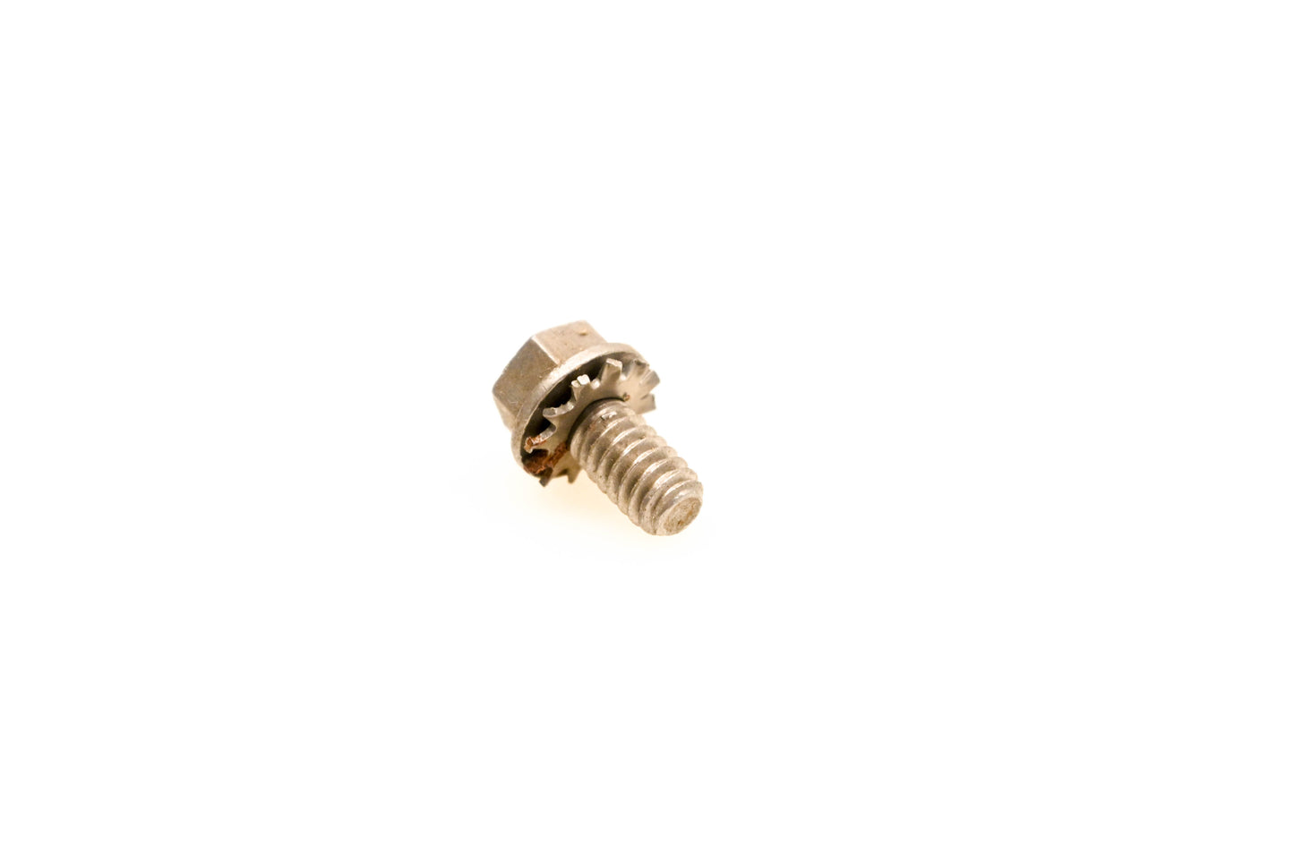 OMC 309616 Screw NOS