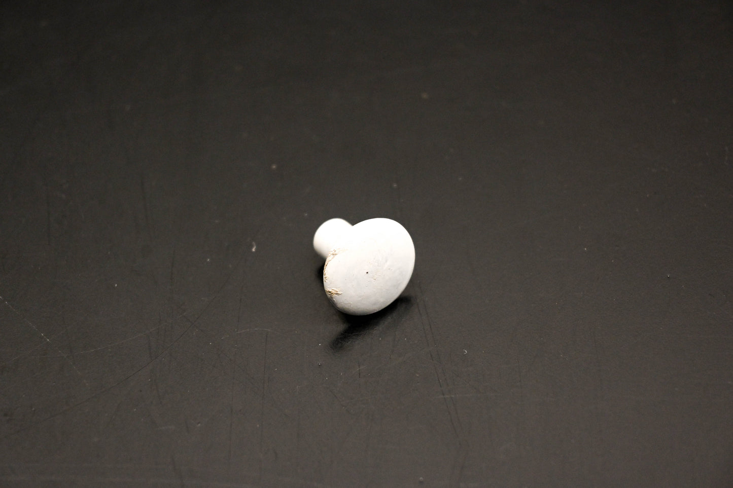 OMC 554355 Rivet NOS
