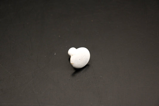OMC 554355 Rivet NOS