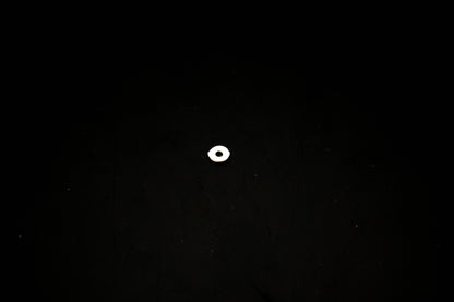 OMC 307529 O-Ring NOS