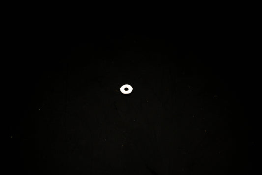 OMC 307529 O-Ring NOS