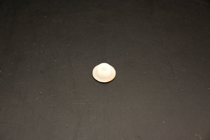 OMC 304861 Bushing NOS