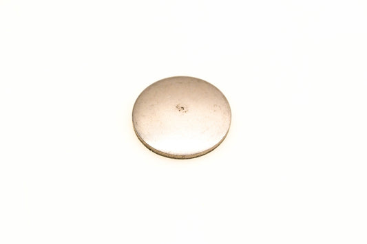 OMC 308679 Expansion Plug NOS