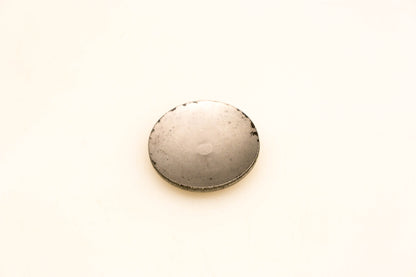 OMC 308679 Expansion Plug NOS