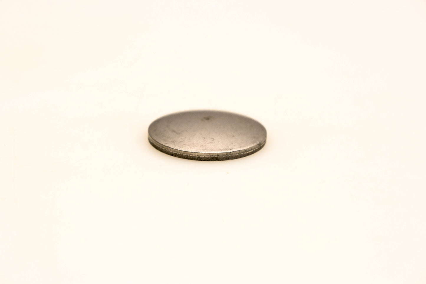 OMC 308679 Expansion Plug NOS