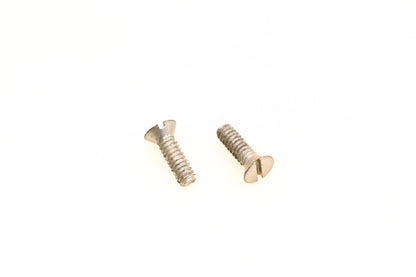 OMC 306532 Screws Qty 2 NOS