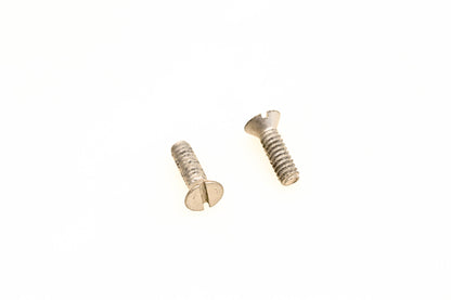 OMC 306532 Screws Qty 2 NOS