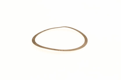 OMC 313166 Shim NOS