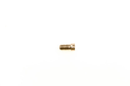 OMC 304221 Screw NOS