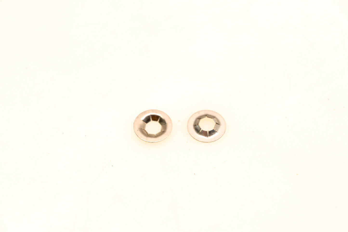 OMC 313973 Fasteners Qty 2 NOS