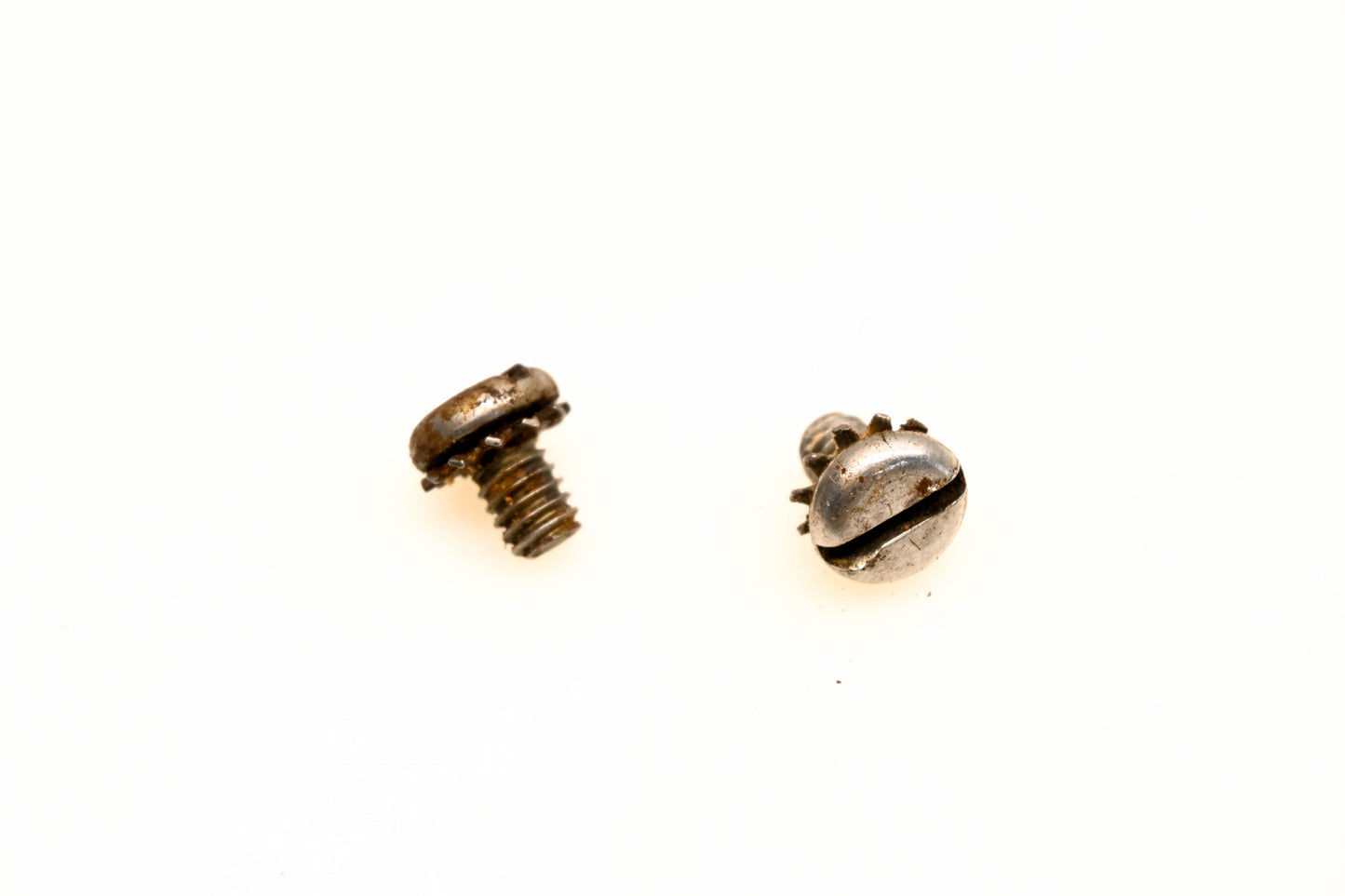 OMC 303311 Screws Qty 2 NOS