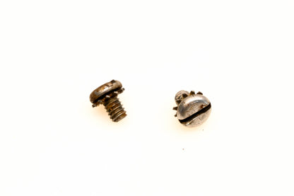 OMC 303311 Screws Qty 2 NOS