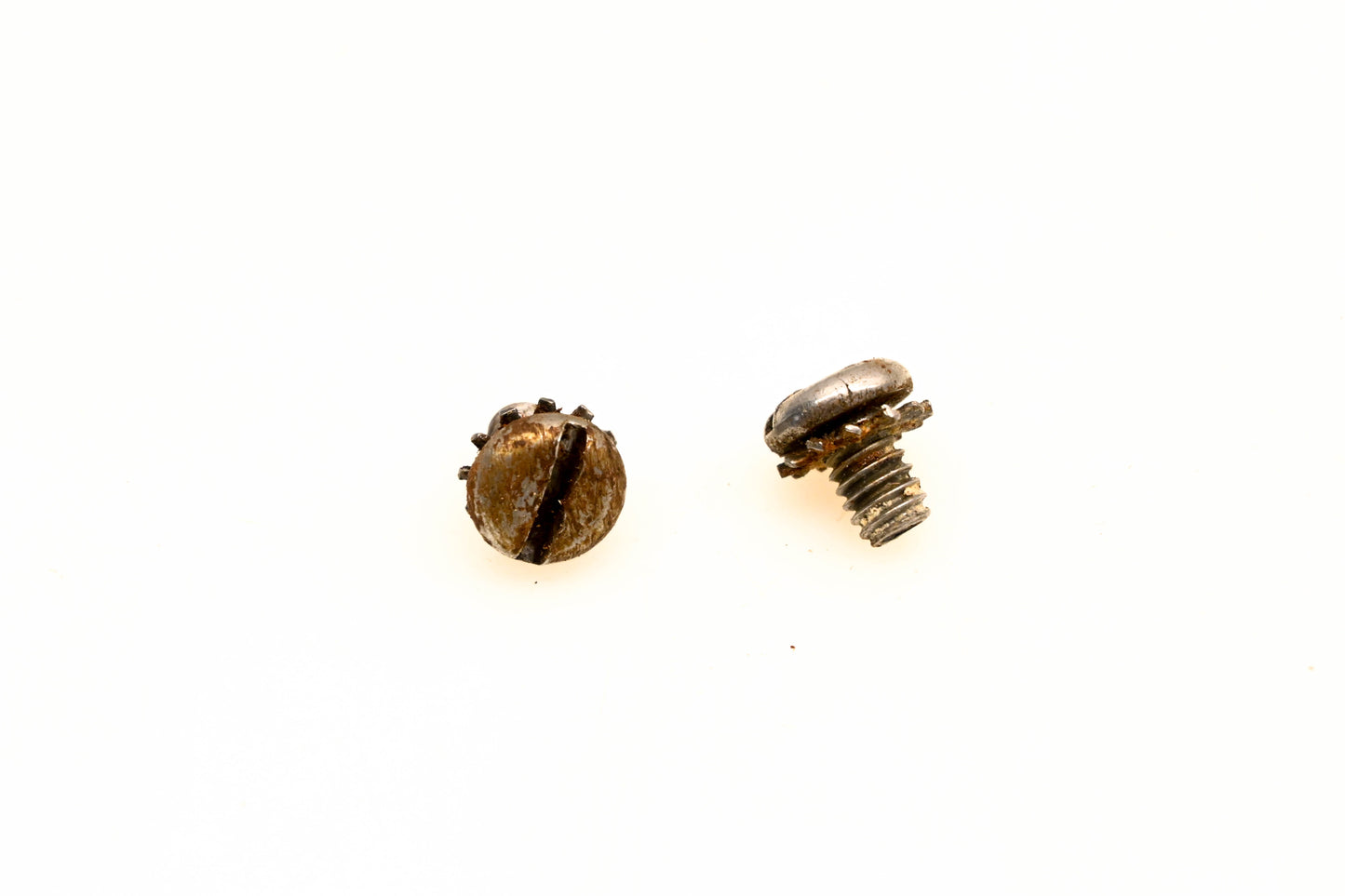OMC 303311 Screws Qty 2 NOS