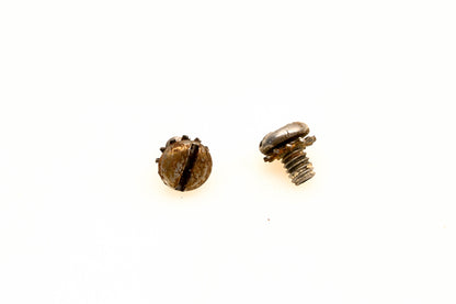 OMC 303311 Screws Qty 2 NOS