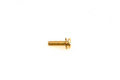 OMC 307195 Screw & Lock Washer NOS