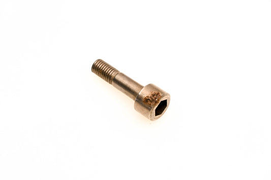 OMC 314733 Screw & O-Ring NOS
