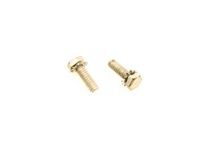 OMC 314576 Screws Qty 2 NOS
