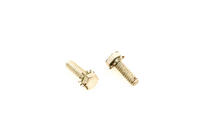 OMC 314576 Screws Qty 2 NOS