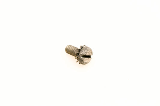 OMC 304992 Screw & Lock Washer NOS