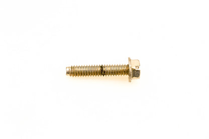 OMC 316450 Screw NOS