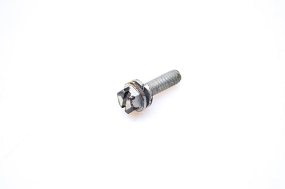 OMC 308082, 0720P20 Screw W/Washer NOS