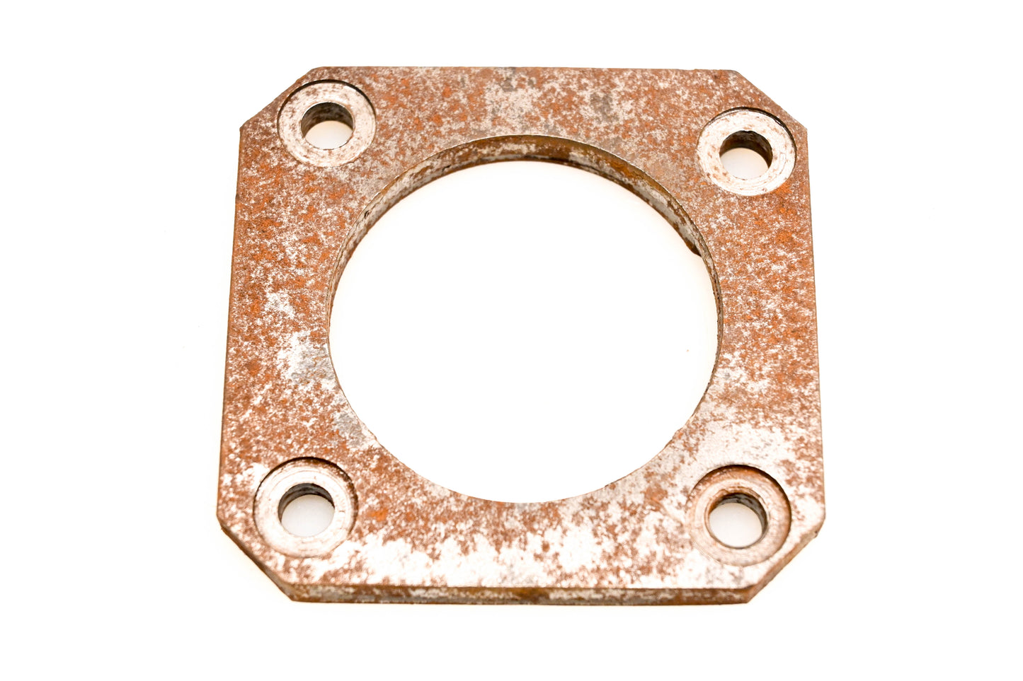 OMC 313309 Bearing Plate NOS