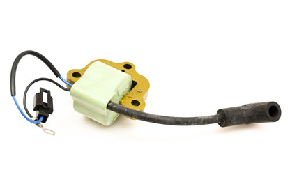 Sierra 18-5172, 581786 Ignition Coil NOS