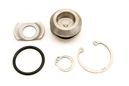 OMC 980151 Plug & O-Ring NOS