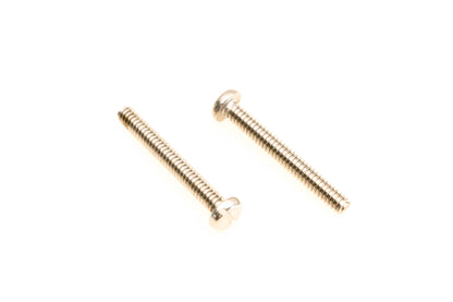 OMC 306259 Screws Qty 2 NOS