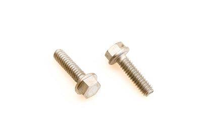 OMC 309646 Screws Qty 2 NOS