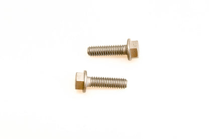 OMC 309646 Screws Qty 2 NOS
