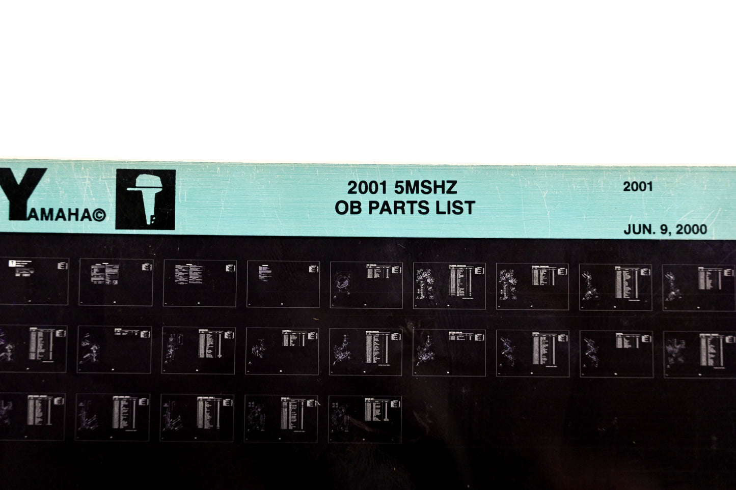 OEM Yamaha YR009-62 2001 5MSHZ Outboard Parts List Microfiche