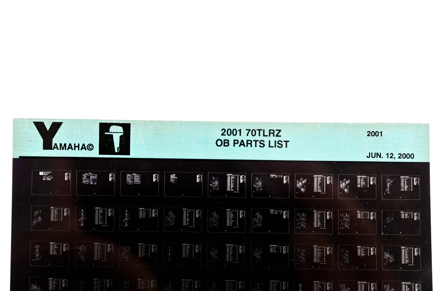 OEM Yamaha YR010-29 2001 70TLRZ Outboard Parts List Microfiche