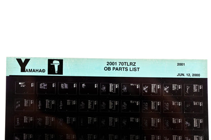 OEM Yamaha YR010-29 2001 70TLRZ Outboard Parts List Microfiche