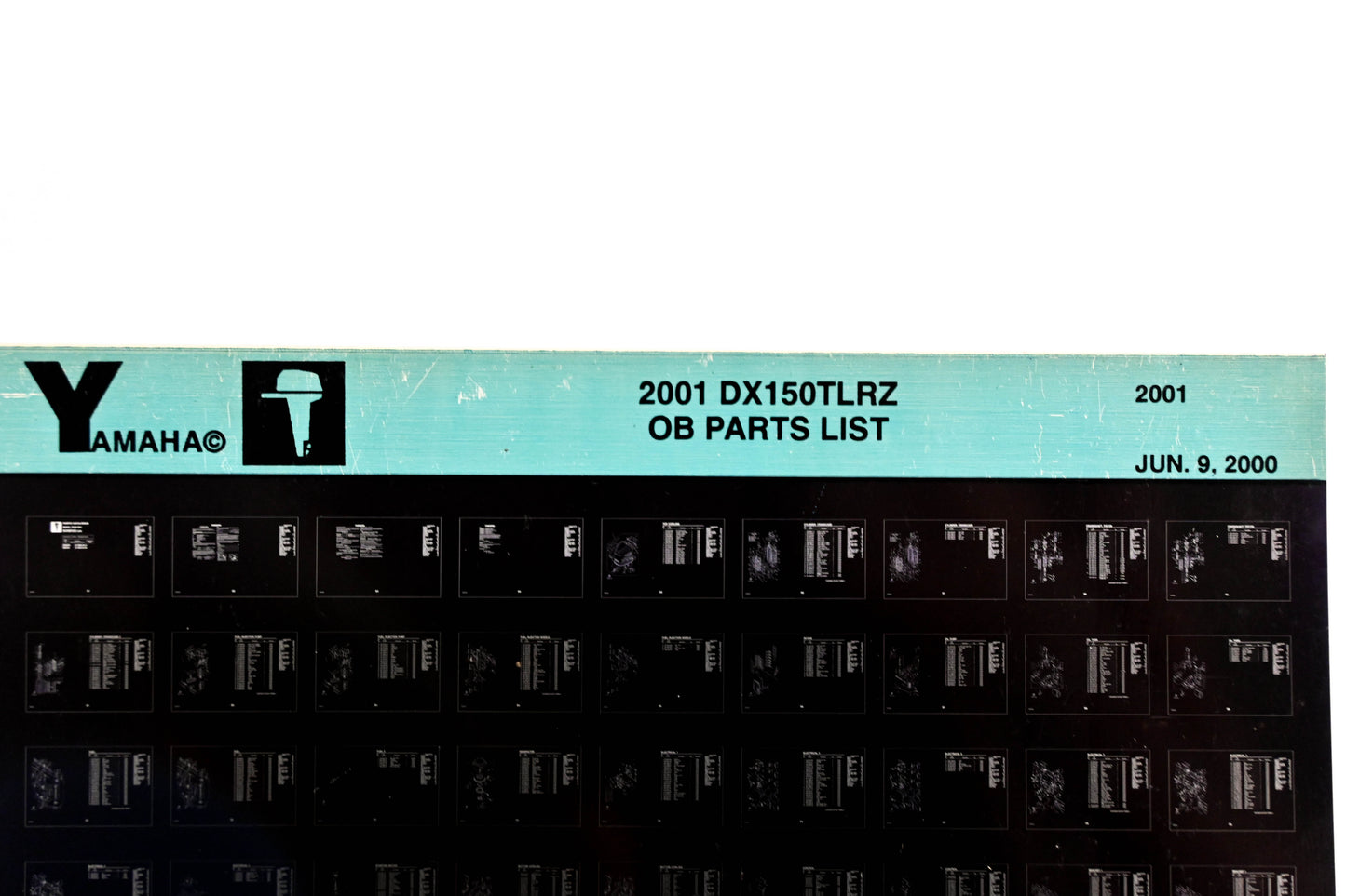 OEM Yamaha YR010-32 2001 DX150TLRZ Outboard Parts List Microfiche