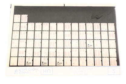 OMC XZA020-36 1995 Final Edition King cobra 5.0/5.8 EFI, 7.4 King #2 Microfiche