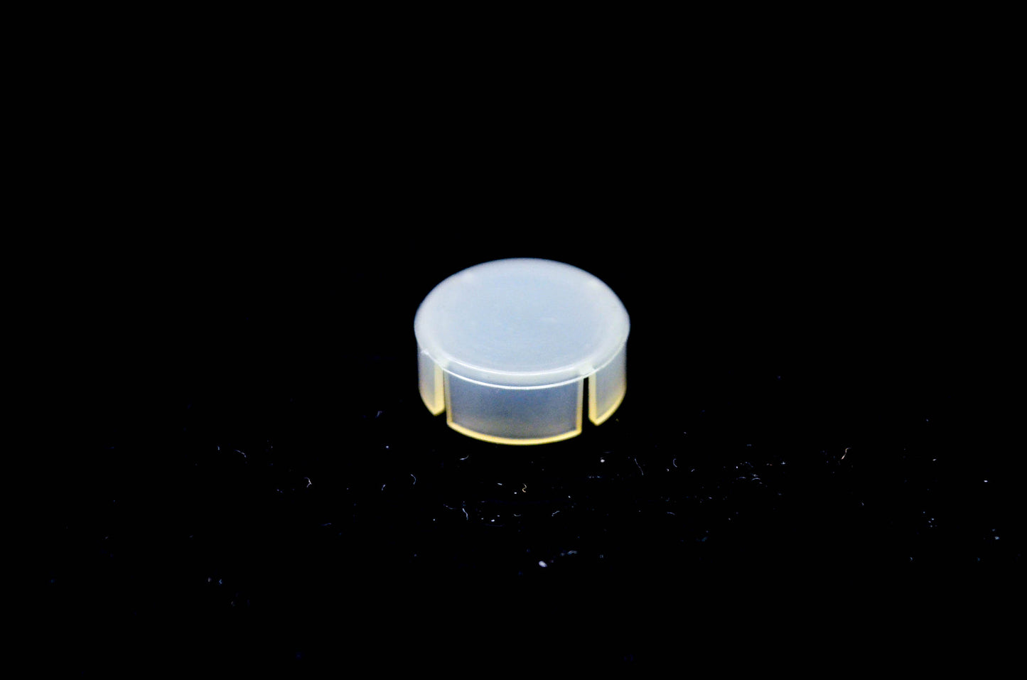 OMC 308055 Trunion Cap NOS
