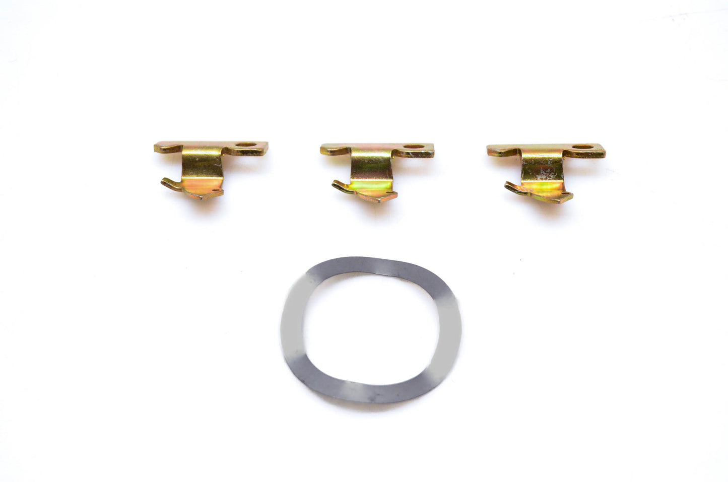 OMC 396071 Starter Pawl & Spring Washer Kit NOS