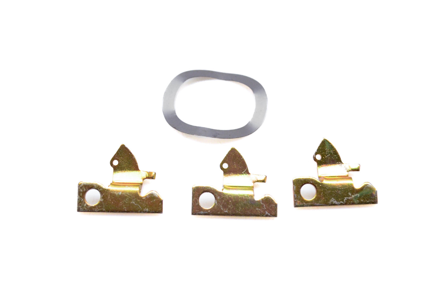 OMC 396071 Starter Pawl & Spring Washer Kit NOS