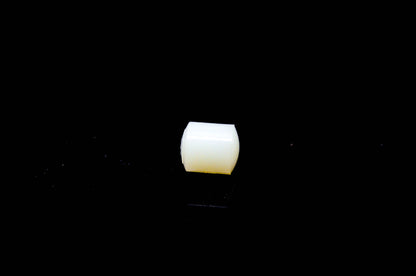 OMC 321888 Control Roller NOS