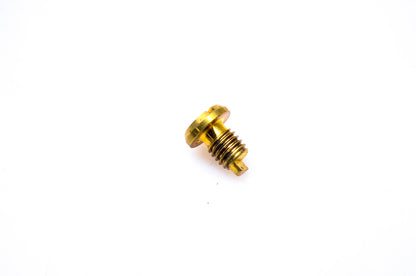 OMC 327116 Screw Plug NOS