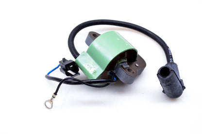 Sierra 18-5196, 581407, T336-EB14 Ignition Coil NOS