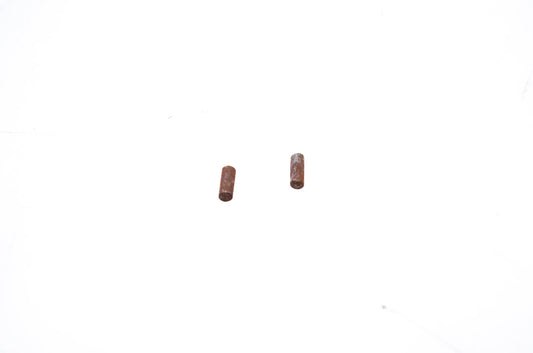 OMC 202156 Starter Pin Qty 2 NOS