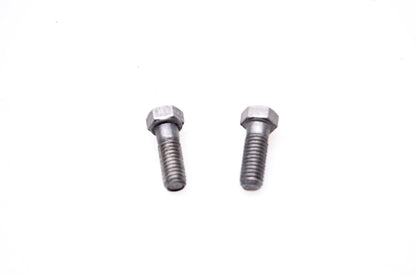 OMC 306435 Hex Head Bolt Screw Qty 2 NOS