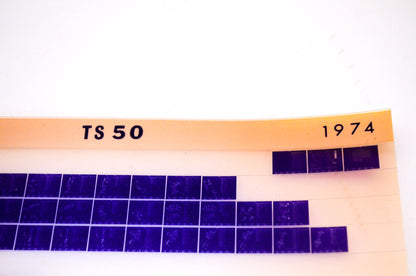 OEM Suzuki TS50 1974 Suzuki TS50 Microfiche