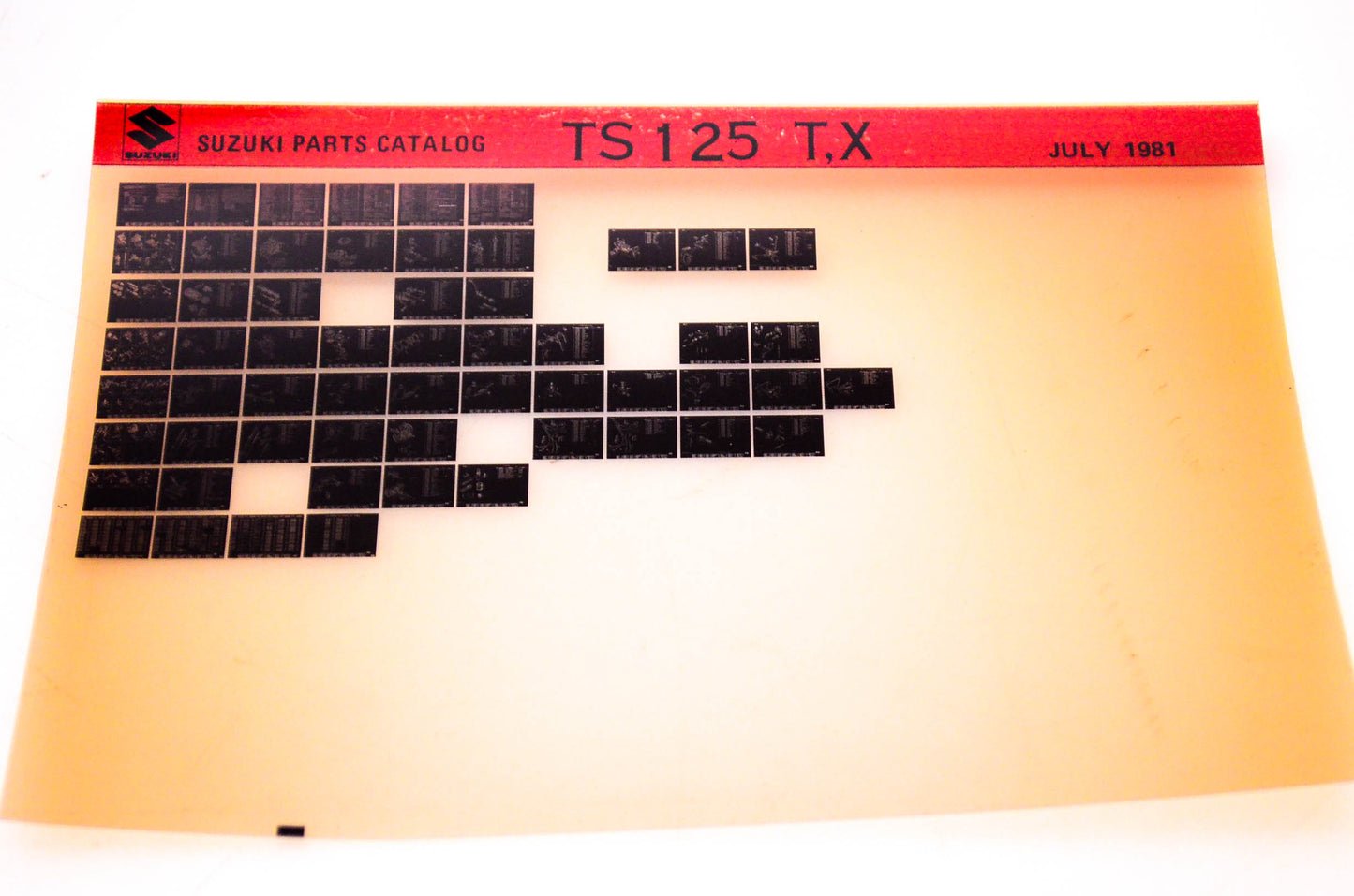 OEM Suzuki TS 125 T,X 1981/July Suzuki Parts Catalog TS 125 T,X Microfiche